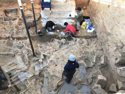 Excavation campaign in 2018